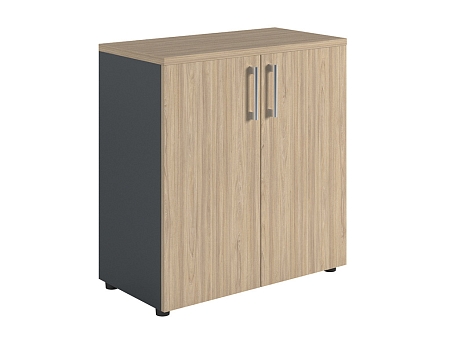 Dolab NW 0880  qapalı  təbii qarağac /antrasit